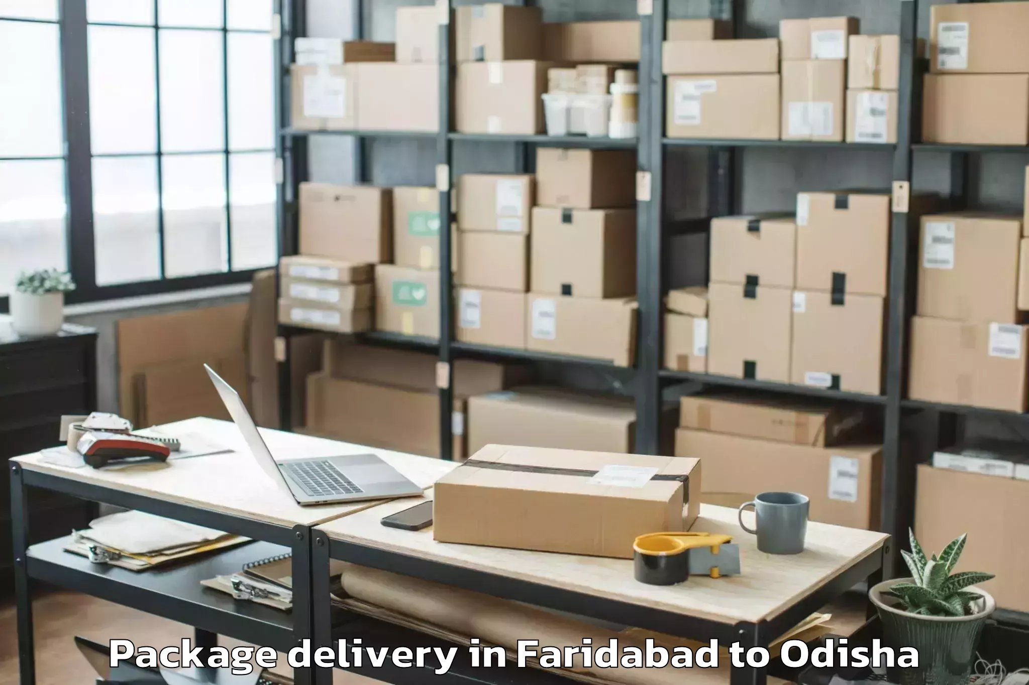 Book Faridabad to Garabandha Package Delivery